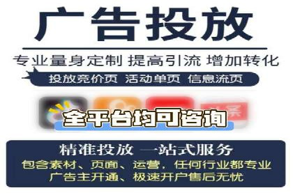 百度推广代运营案例：案例分享：打造行业领军品牌